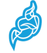 jitsi