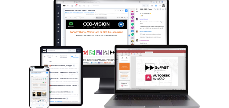 GoFAST DIgital Workplace & DMS DEMO Vidéo