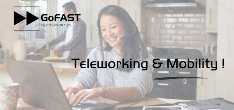 ceo-vision-teleworking-mobility