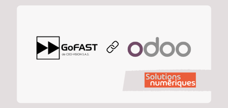 dms-gofast-erp-odoo