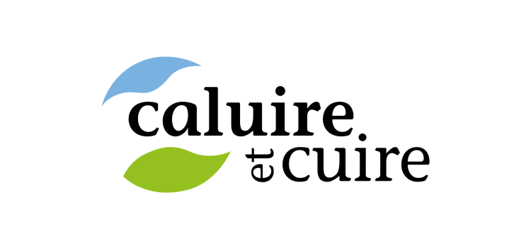 Logo Caluire et Cuire