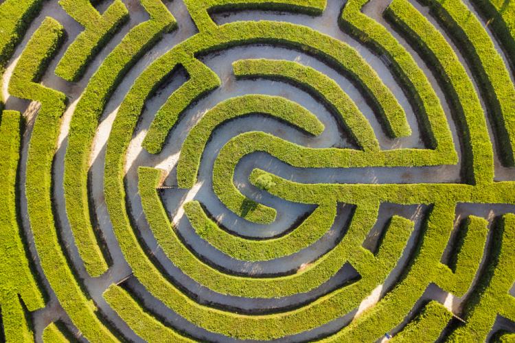 labyrinthe en buisson