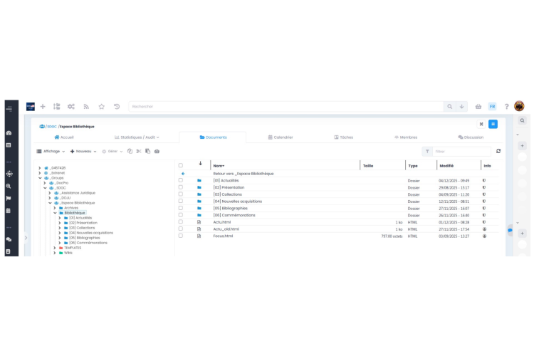DocPro vue depuis GoFAST