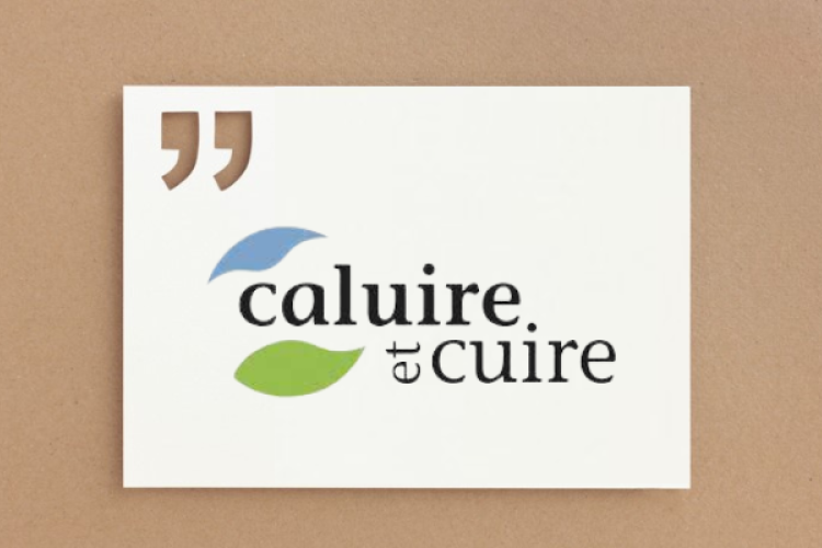 rex-city-caluire-cuire-improves-document-management