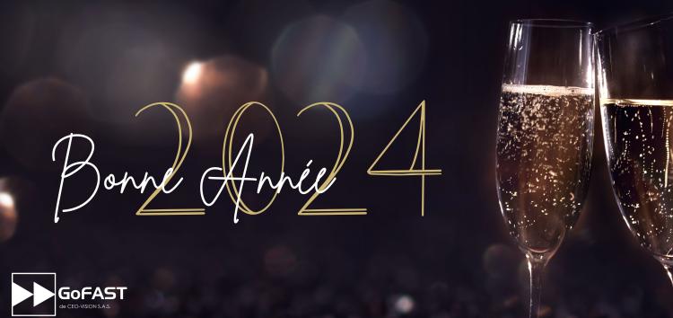 ceo-vision-editeur-gofast-bonne-annee-2024